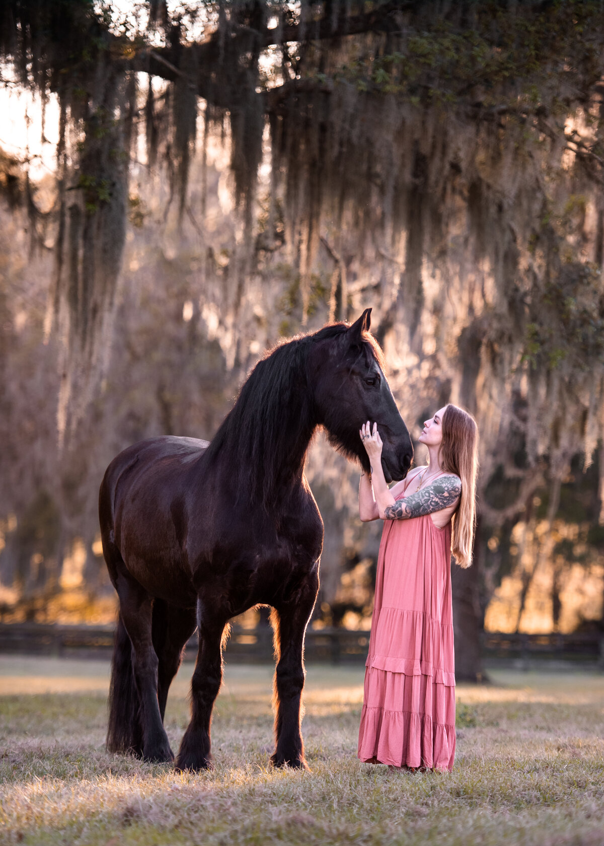 Portraits_Friesian_ADS4207