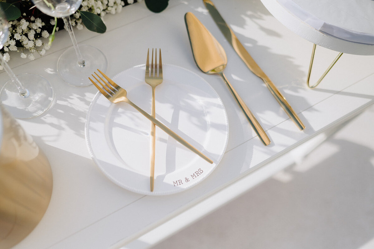 arron-mcneile-photo-whitehurst-gallery-florida-elopement-chantilly-chic-celebrations-13
