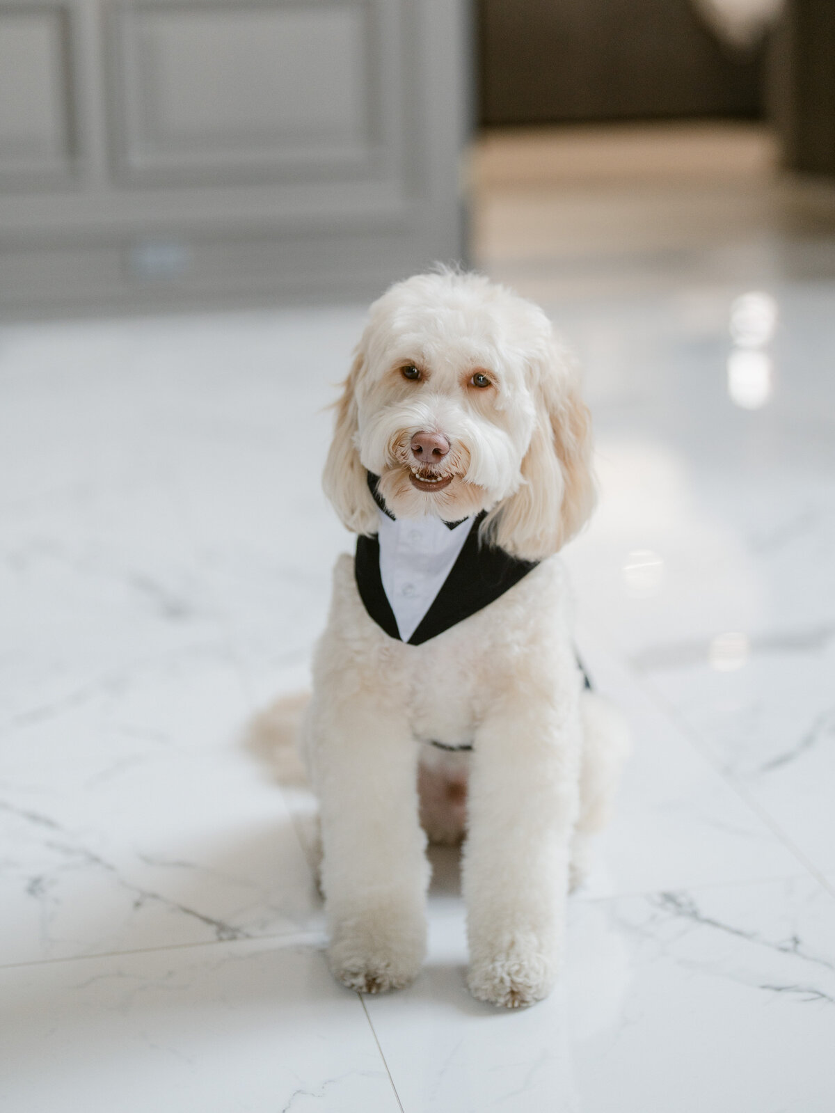 metropolitanclubwedding-normacohenproductions-newyorkluxurywedding-felixfeyginphotography-002