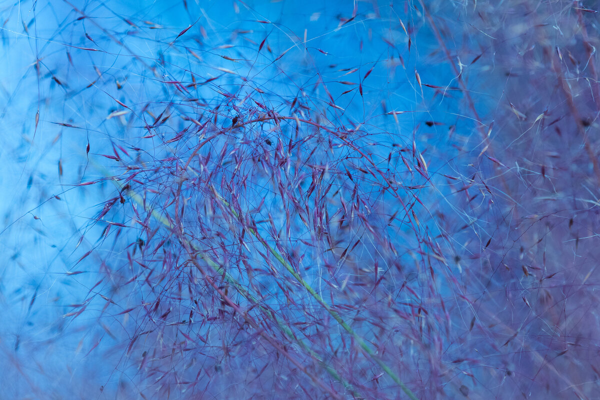 twirls_0651