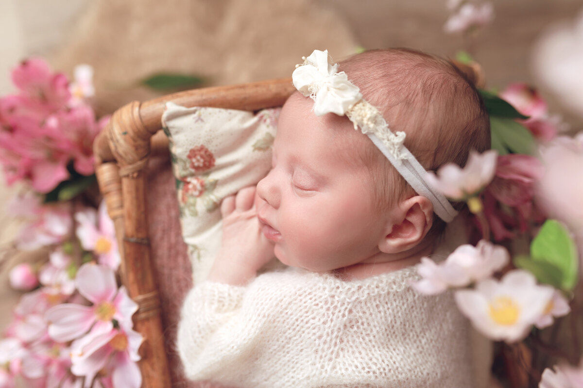 Joanna Booth Photography-5762 psr