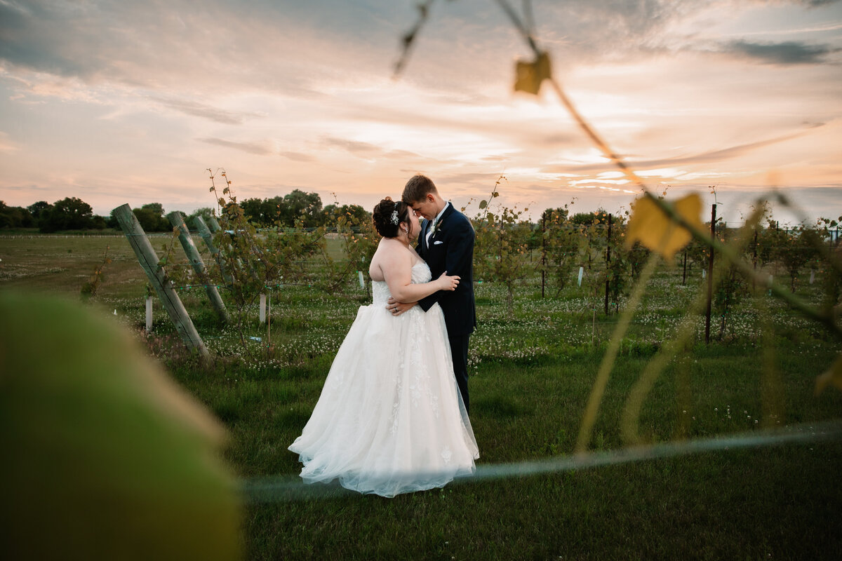 Newlyweds touch forehead s while standing in a vineyard at sunset
