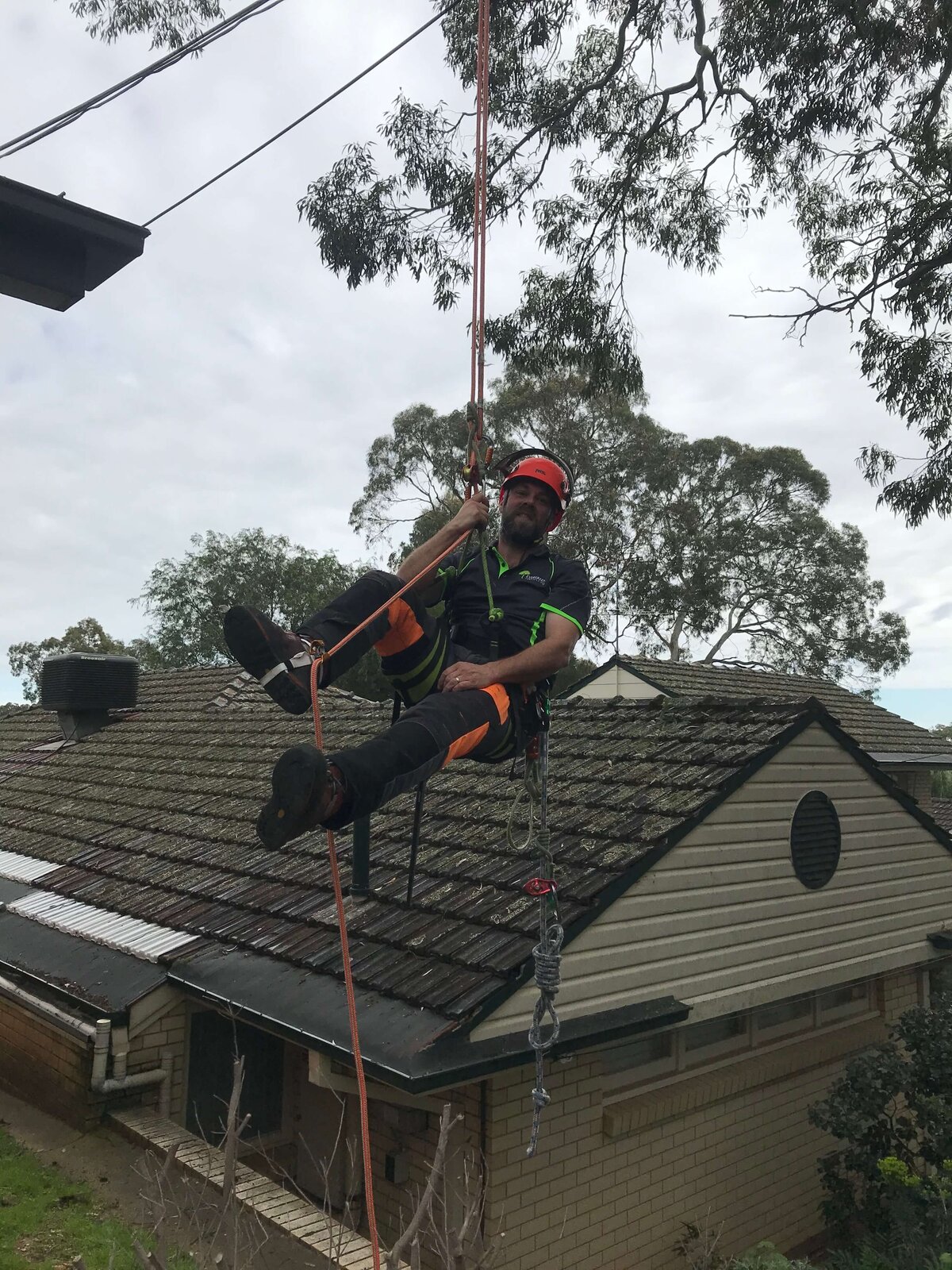 Evergreen Tree Services SA-003