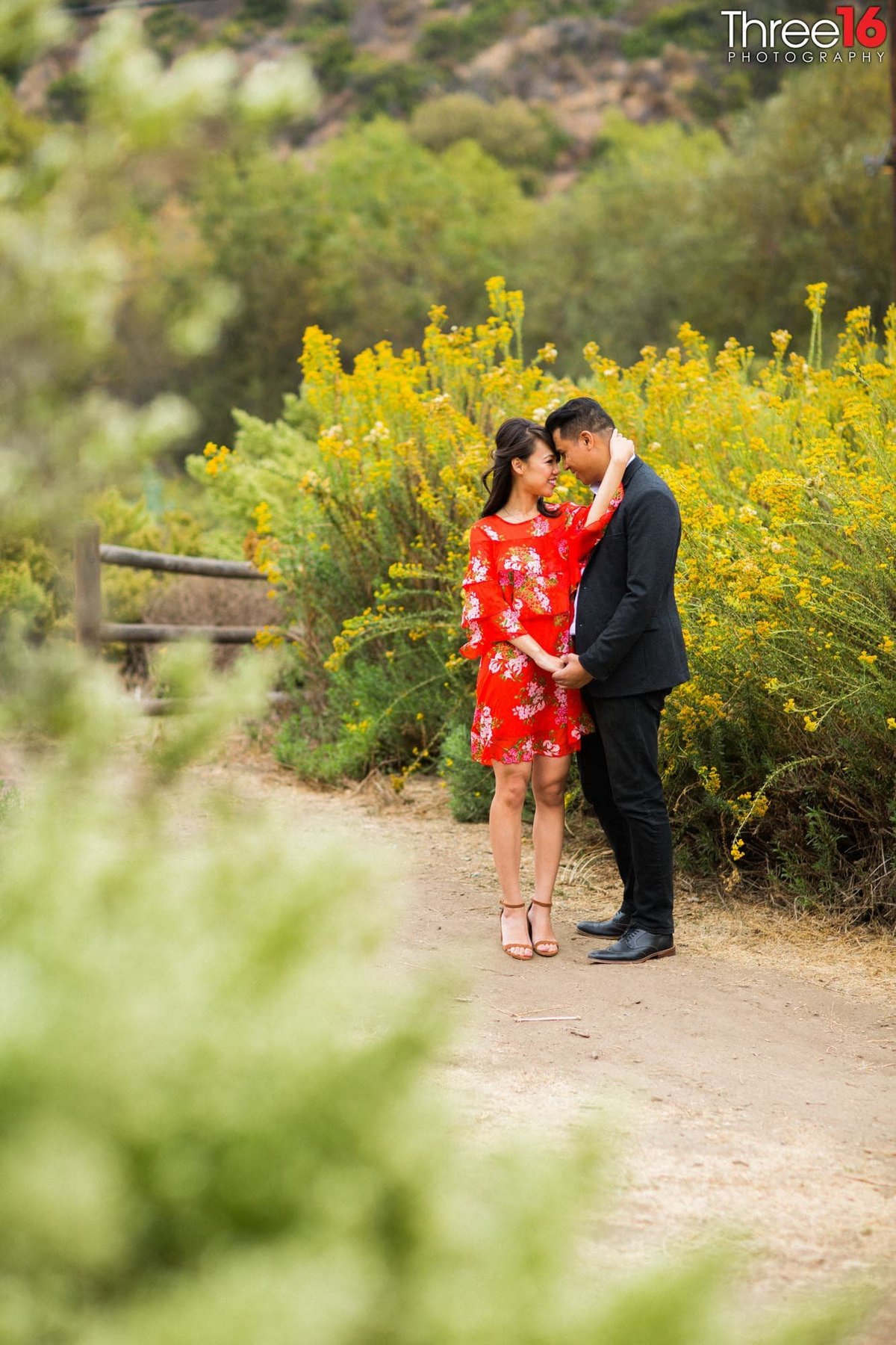 Laguna Coast Wilderness Park Engagement Beach Orange County Wedding Photographer_2