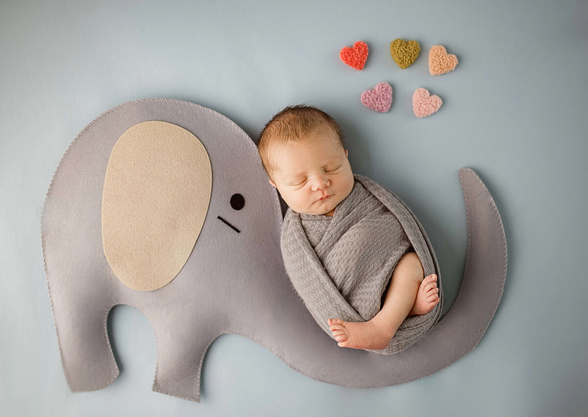 newborn-baby-boy-wrapped-in-blanket-maple-grove