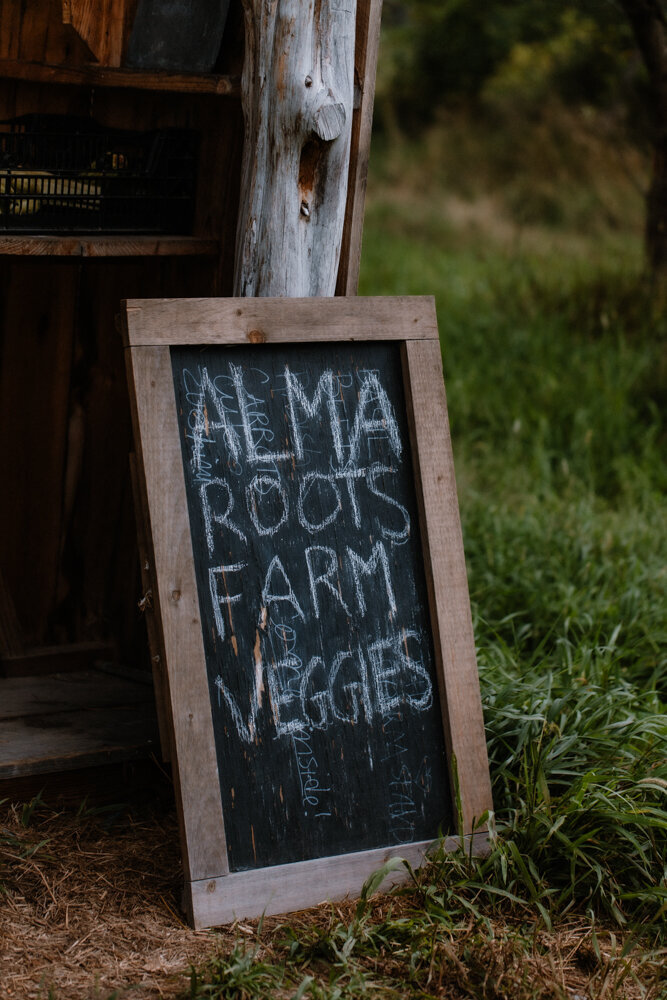 PineandFable_AlmaRootsFarm-8325