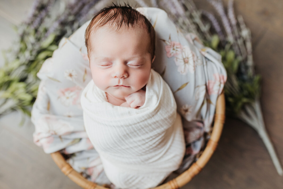 lavendar-newborn-photography