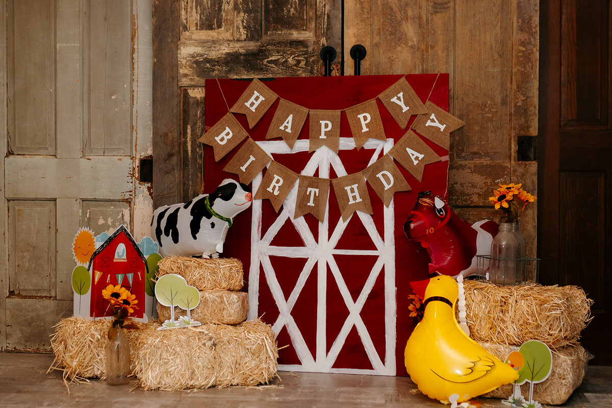 Kids Birthday Party-1