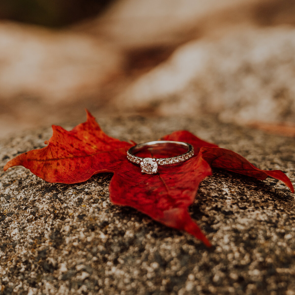 traversecityweddingphotographers38
