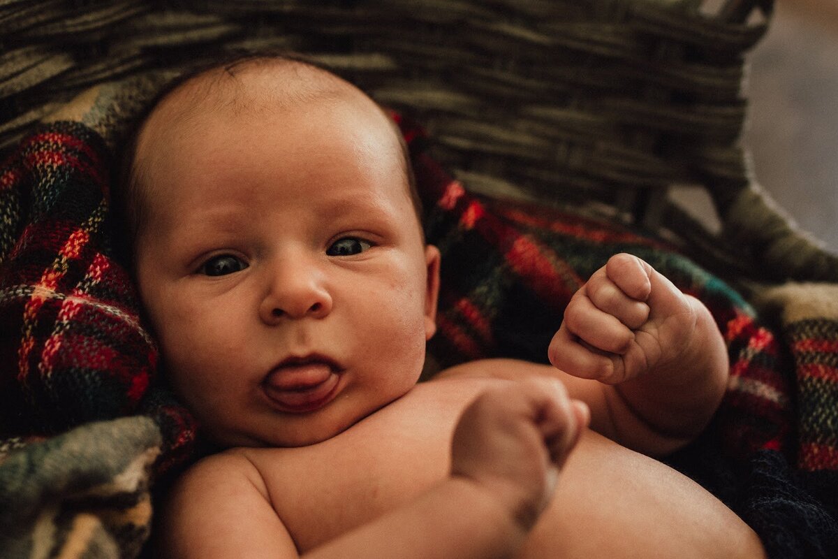 Beneath the Trees Photography Michigan Newborn Photographer 10