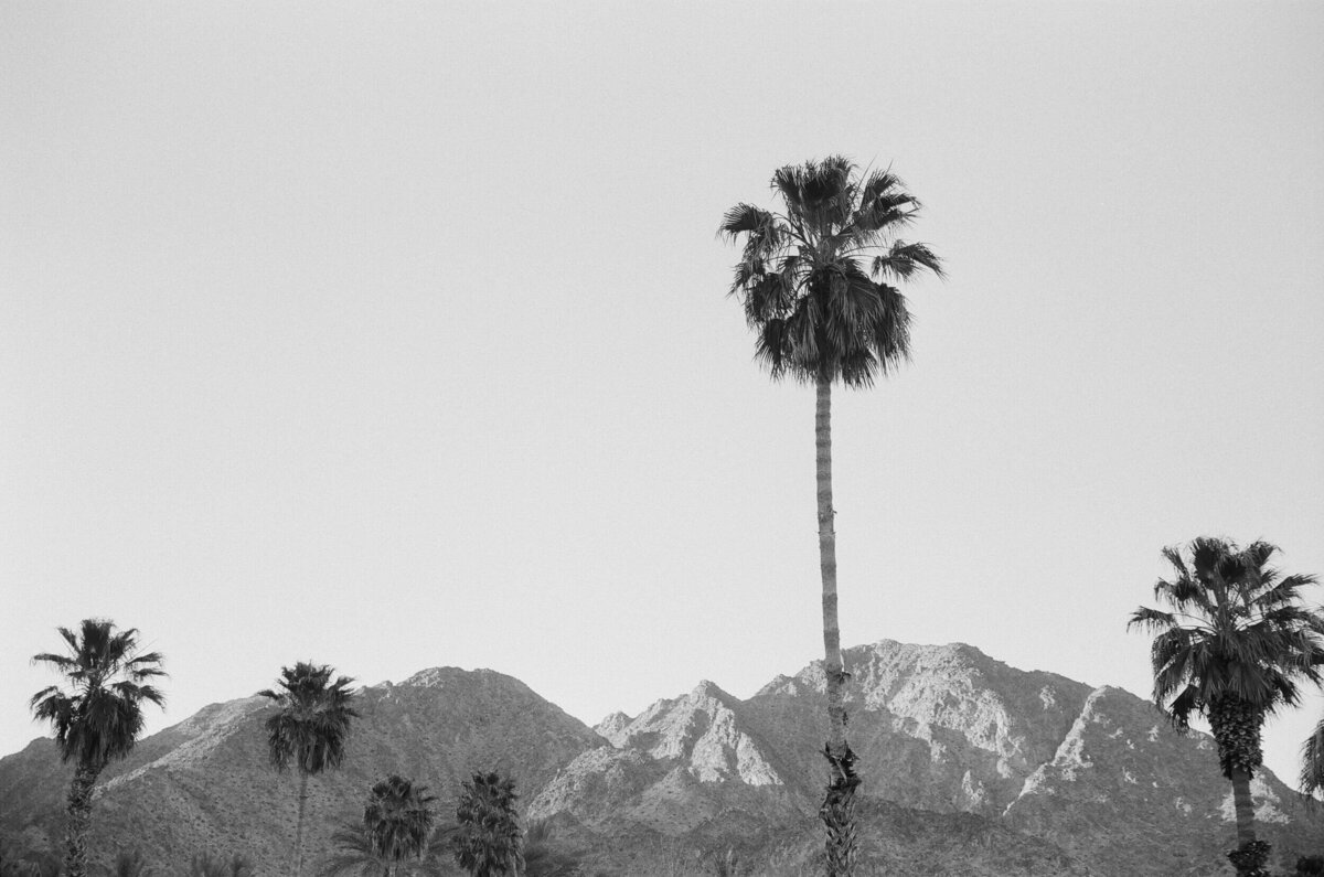 8-KT-Merry-Palm-Desert-Wedding-Matthew-Stephen