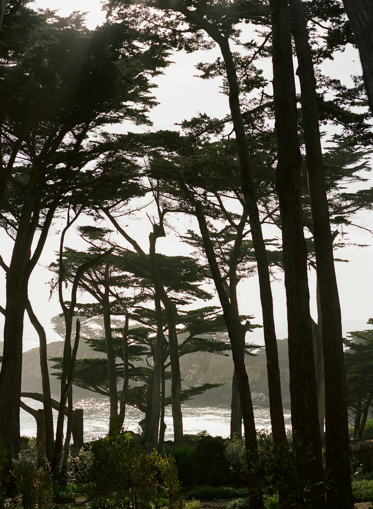 DT-2025-Kelcie&StevenPreview-175