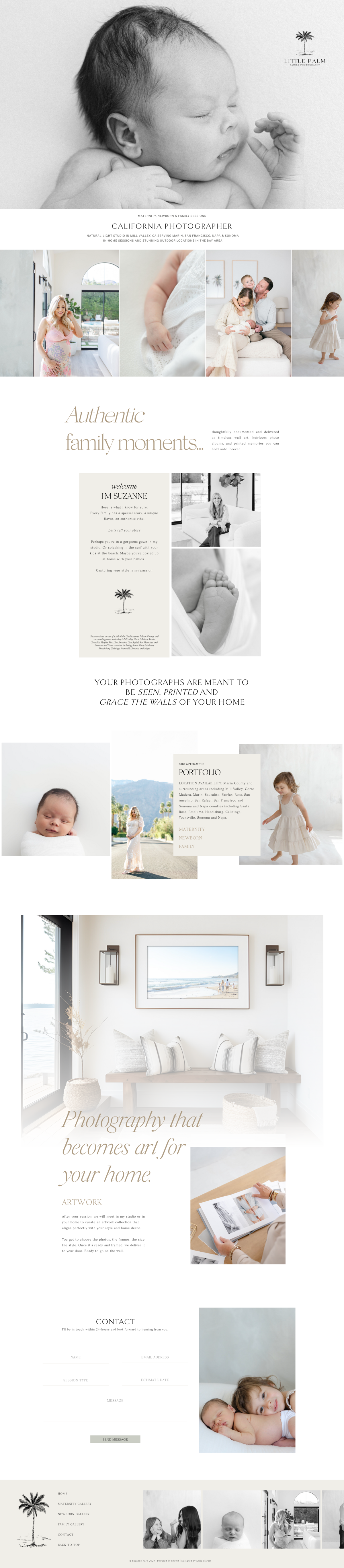 Little Palm Website by Erika Maram