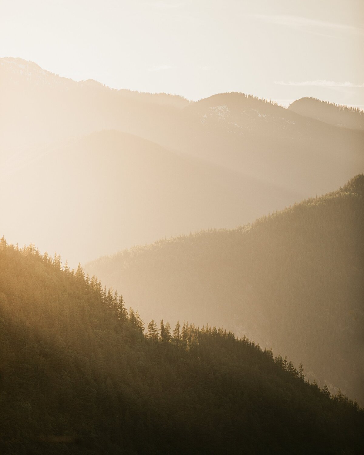 Sunrise in the mountains