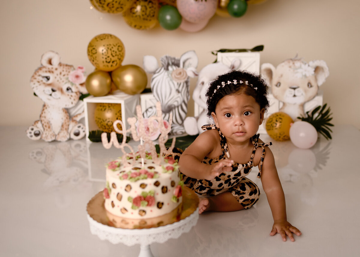 Luna Lehigh Valley Cake Smash Photographer-5