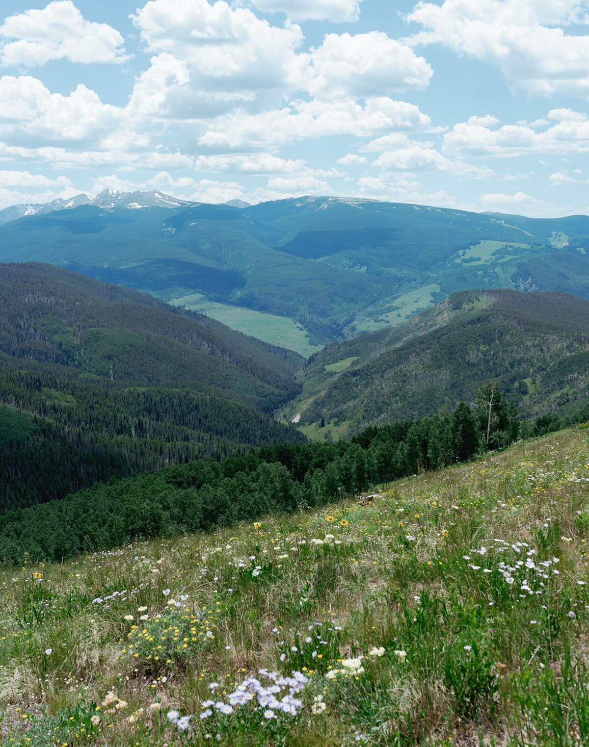 LaurenCorbinWeddingPreviews2