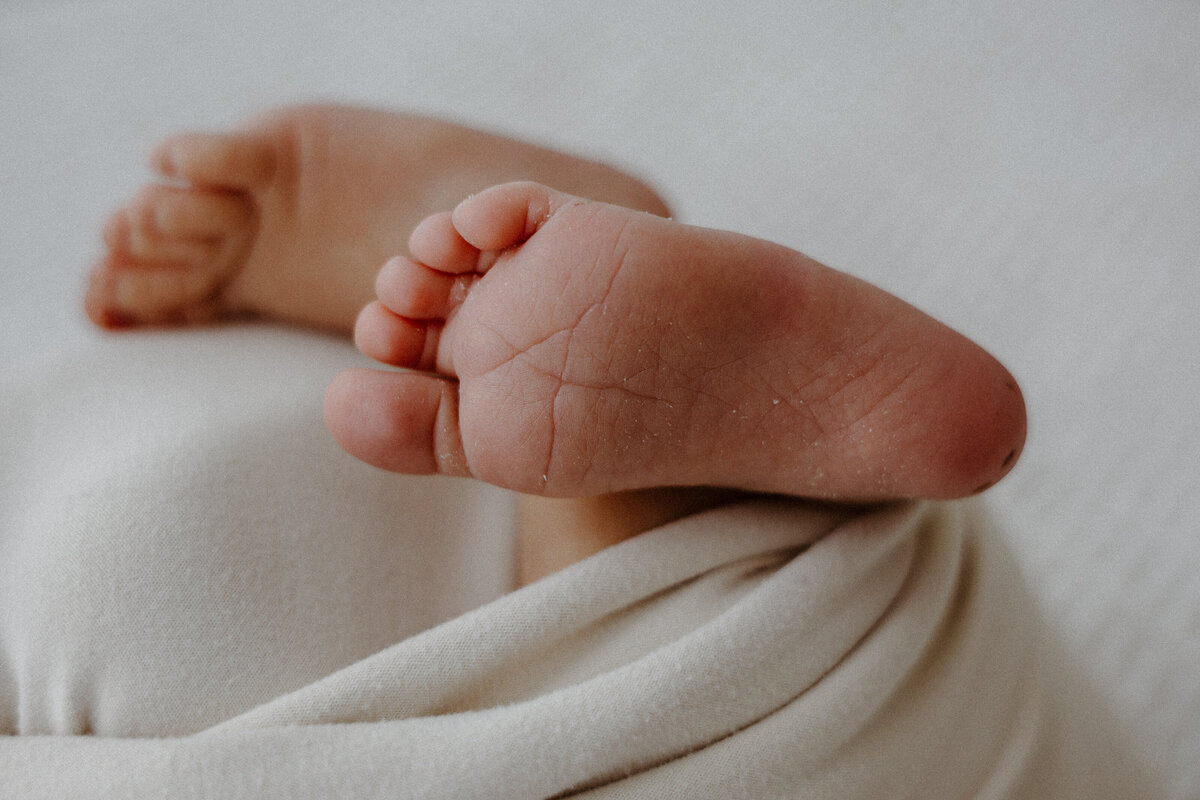 Studio newborn session for a baby boy with neutral colors in Lincoln, Nebraska