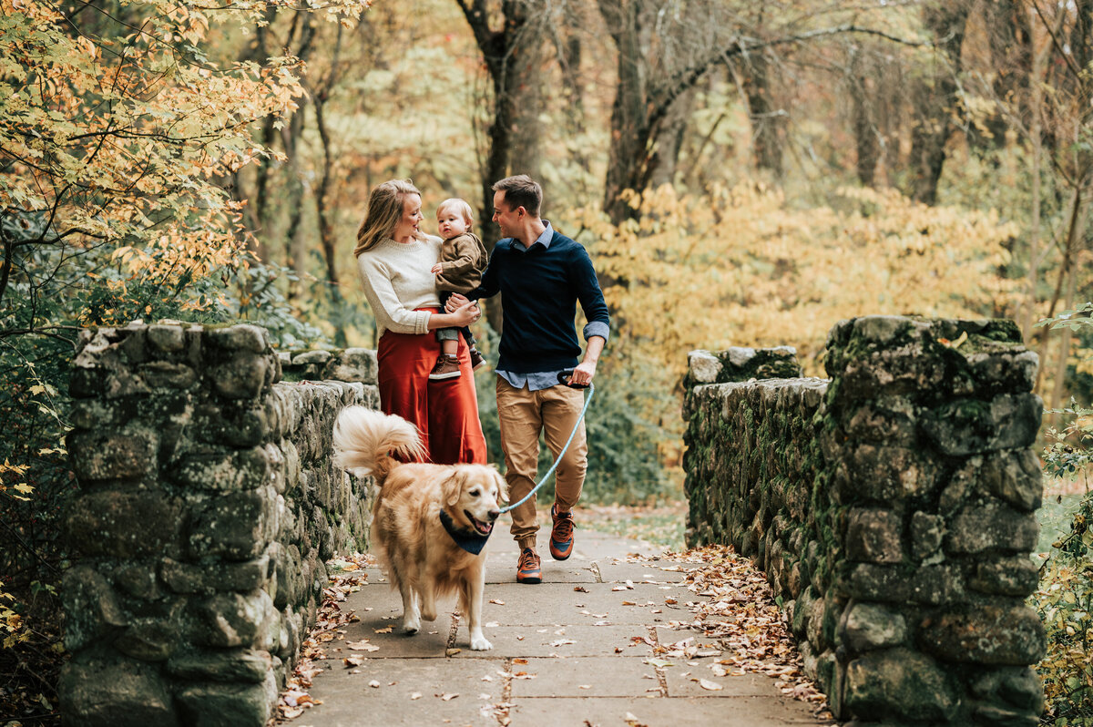 DSC_2012-Enhanced-NR