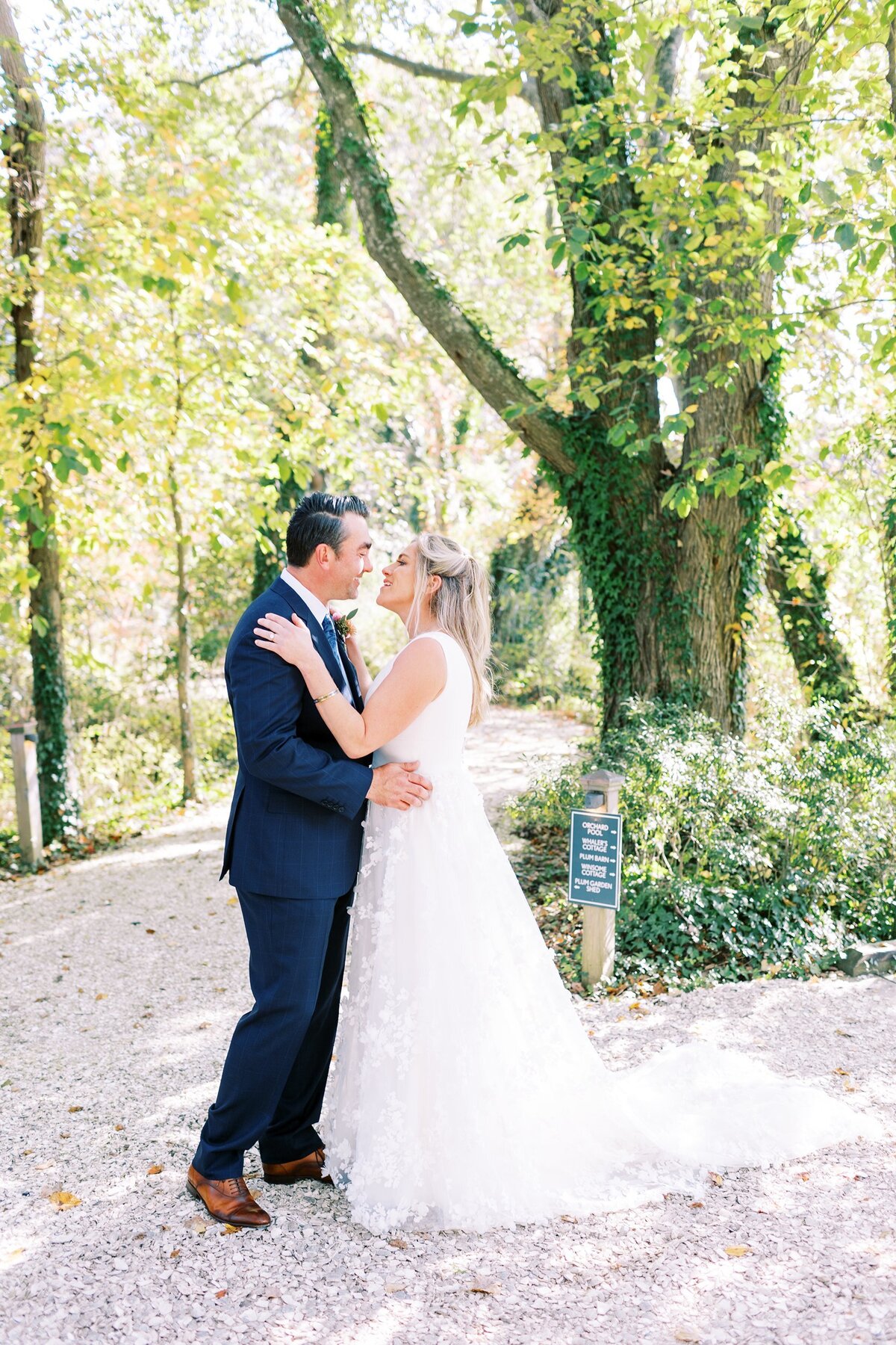 Bride and groom embrace under beautiful tree