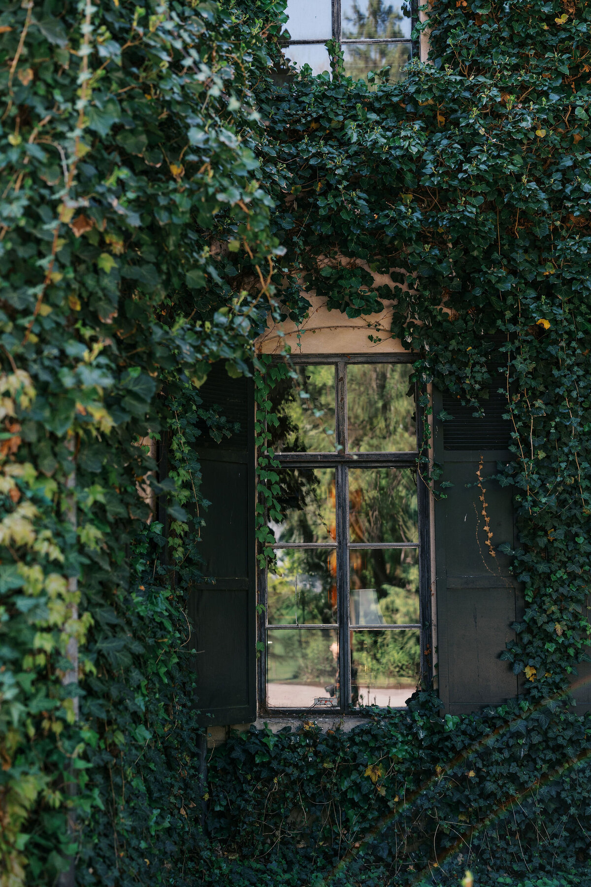 Maria + Grant + Truvision Studios 12