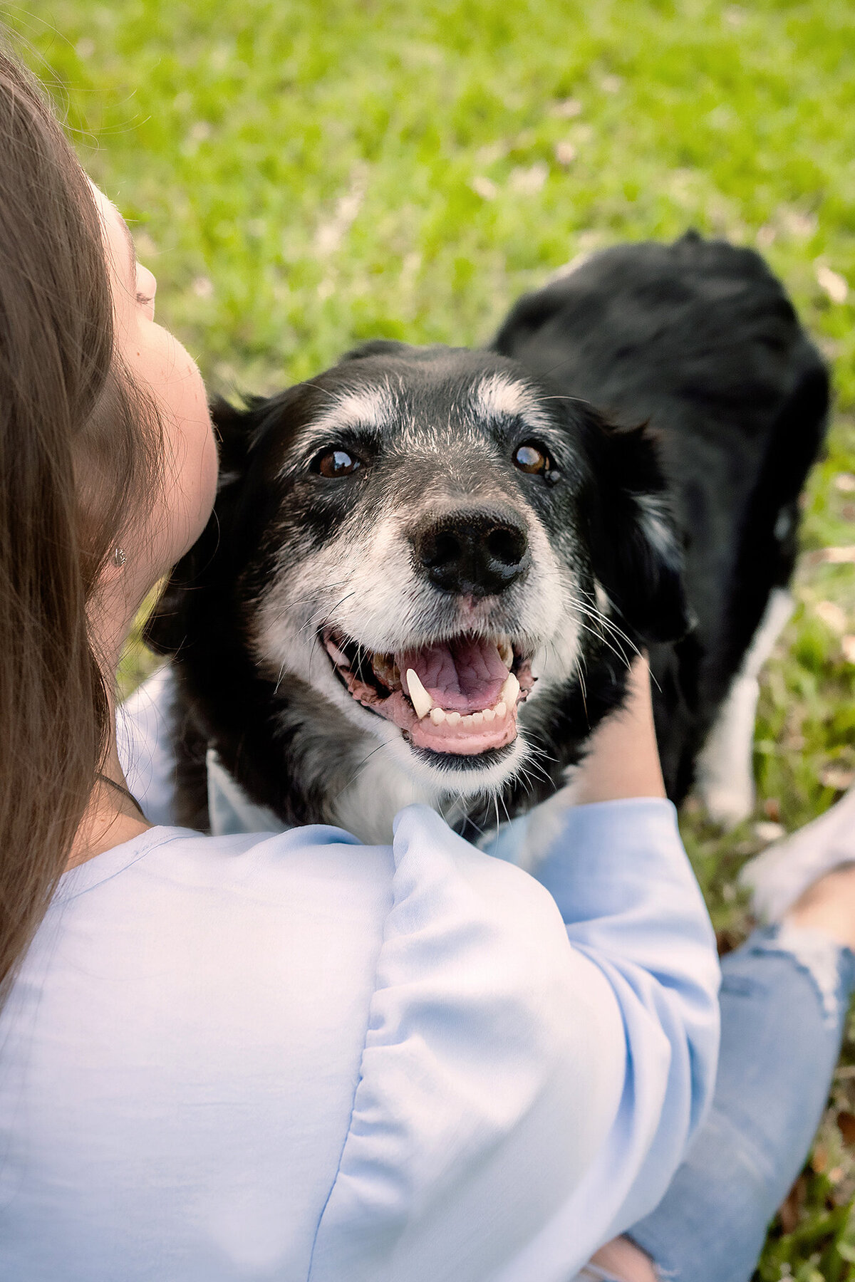 New Orleans Pet Photographer 17