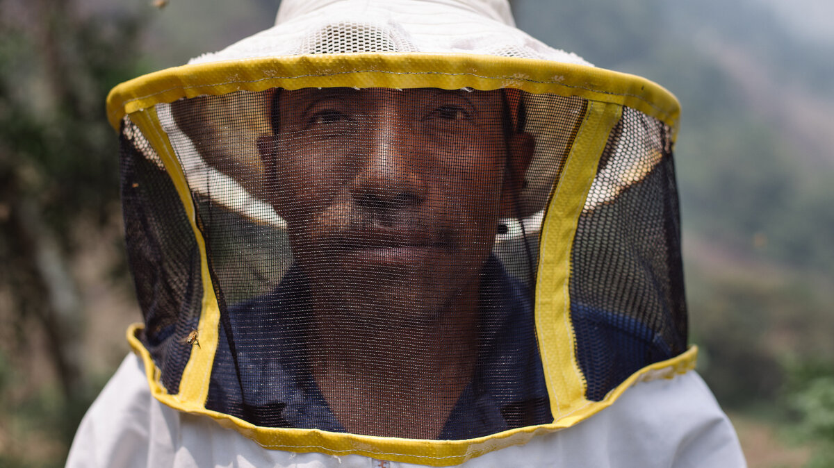beekeeper gazes at camera in bee suit in rural guatemala