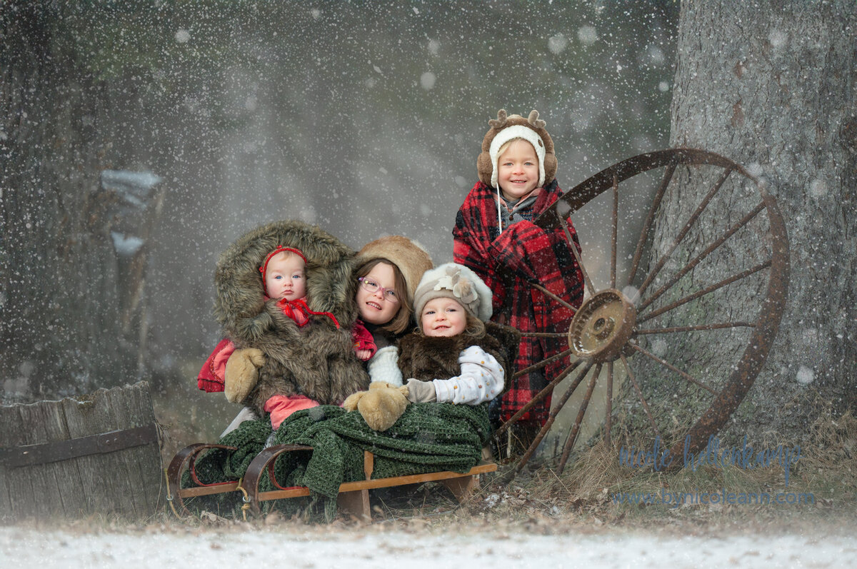 _DSC1143-St Cloud Fine Art Child and Family Photographer -  Nicole Hollenkamp - Princeton MN, St Cloud MN-Edit-Edit-Edit