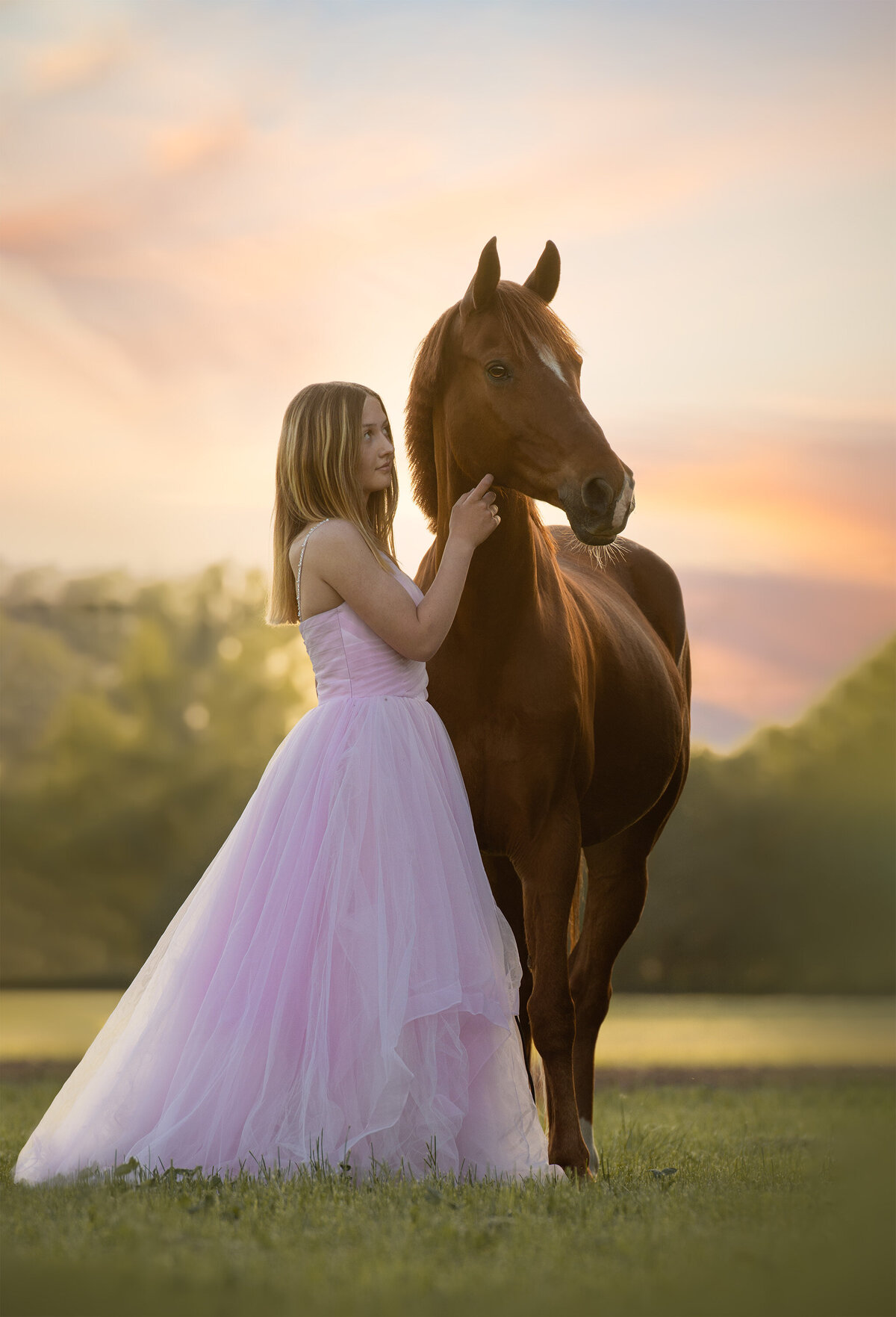 Paardenfotoshoot België