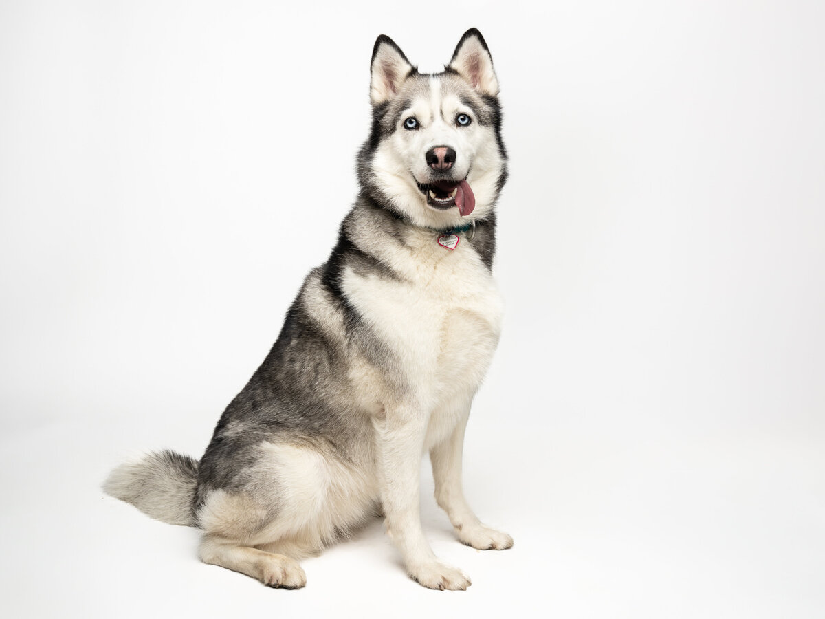 Website3500-DSC01433
