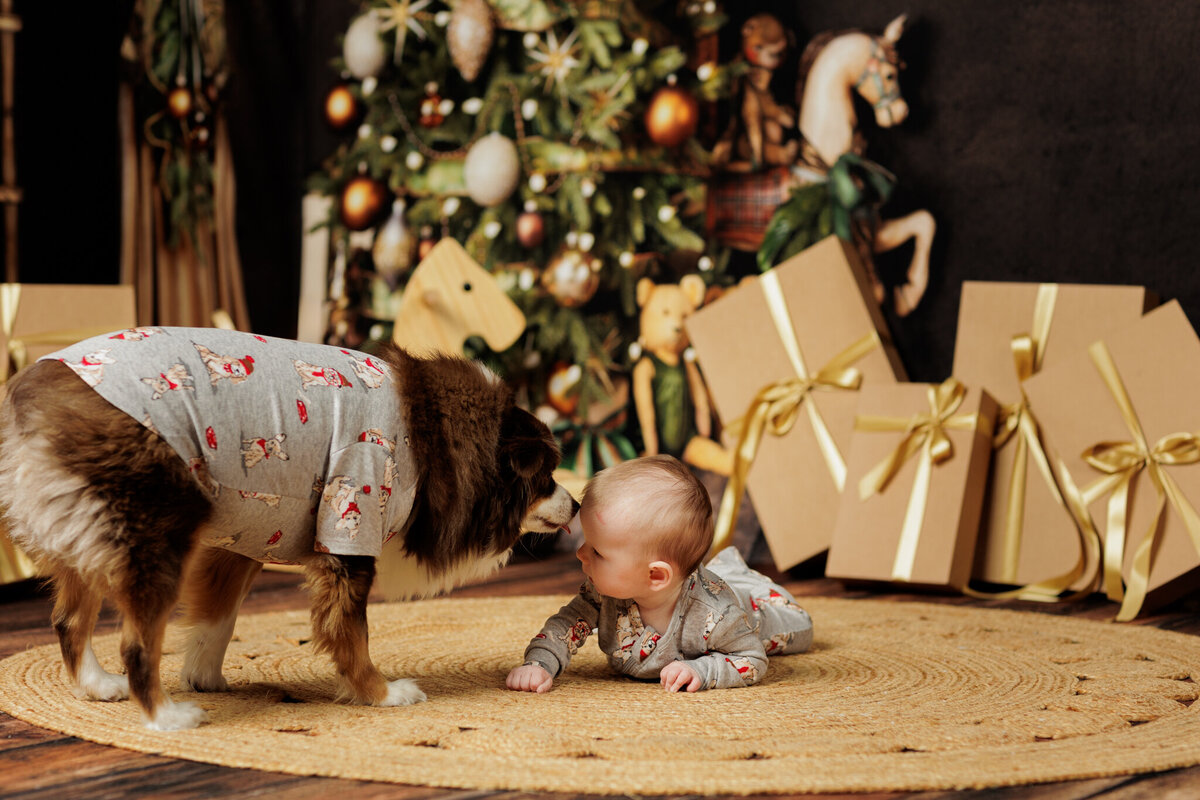 Best NWA holiday photographer, holiday portraits near me, Northwest Arkansas holiday photography, NW Arkansas holiday photos, NWA santa photos
