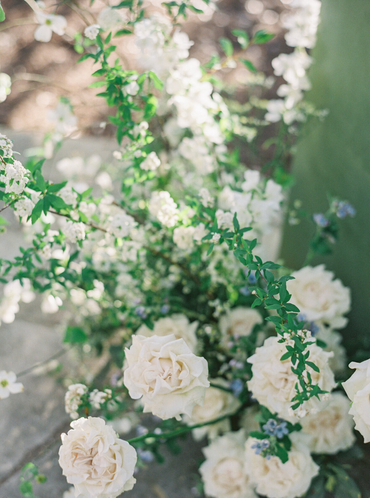 wormsloe_savannah_georgia_wedding_mary_ann_craddock_photography_0034