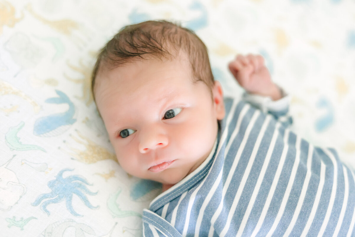 Newell Newborn - Theo-56