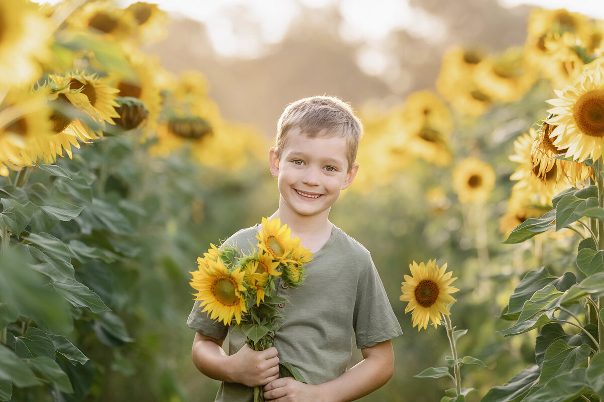 Sunflowers - 1