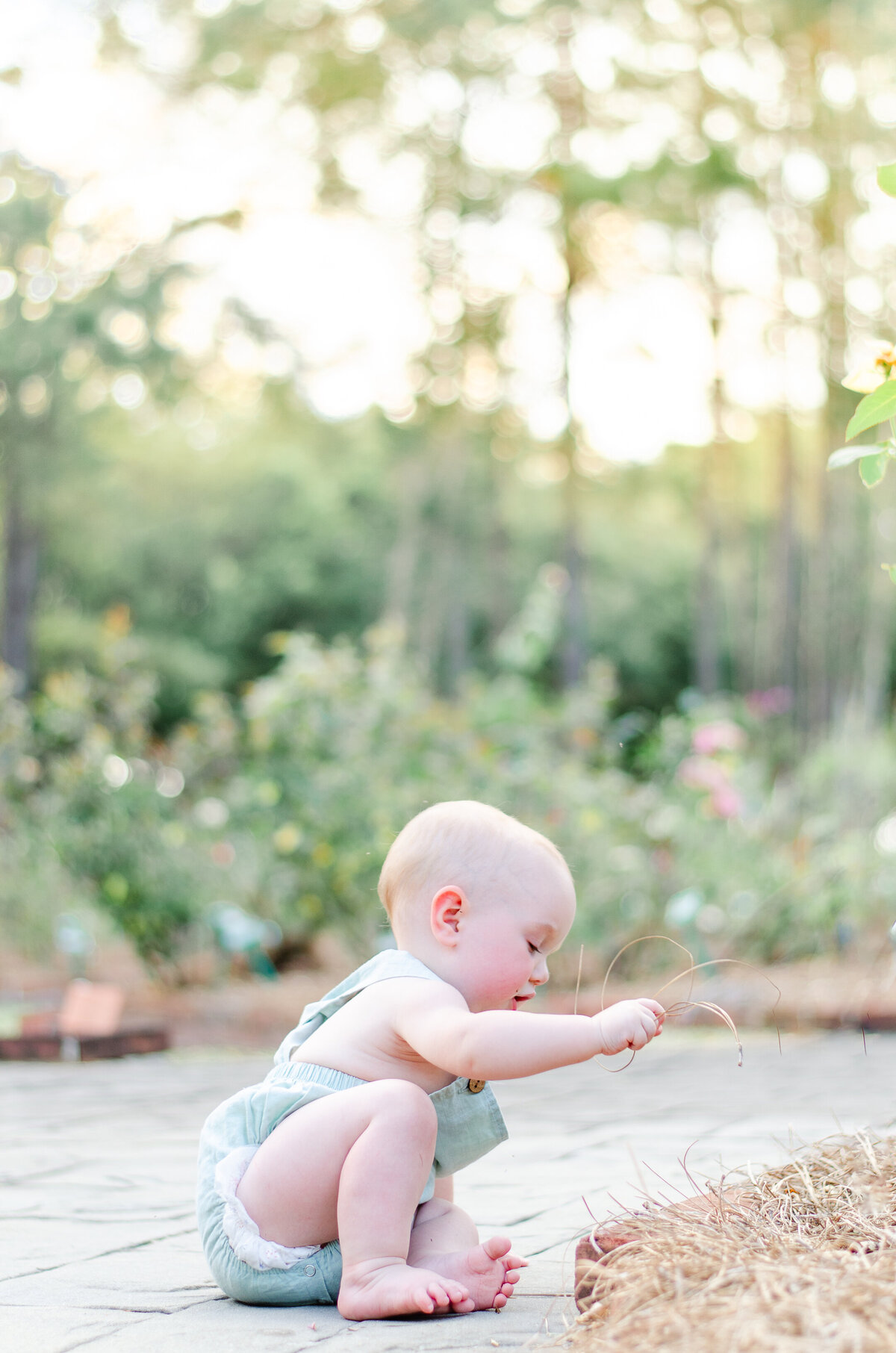 one year old boy plays in straw in a garden