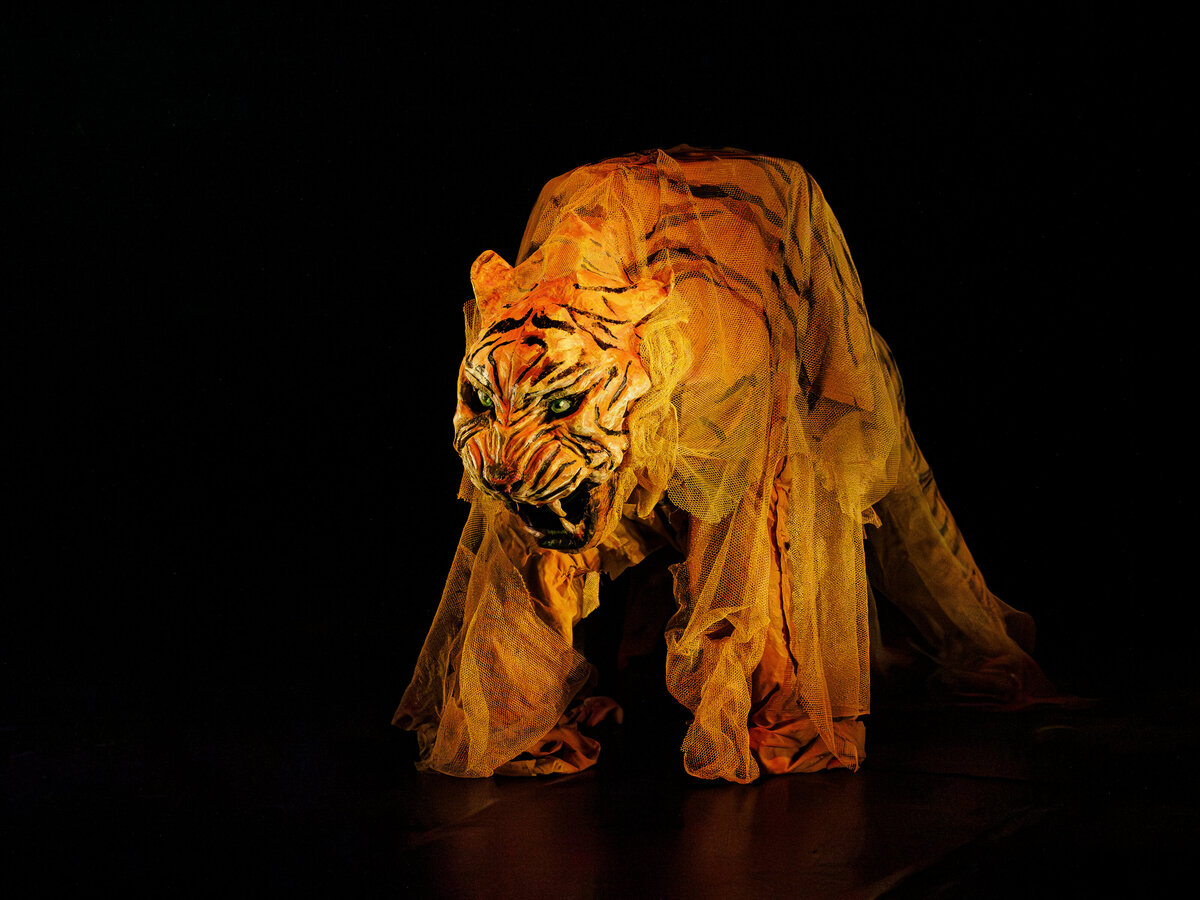 HISTOIRES INVISIBLES Le truculent exode rural des fantômes du Bengale ©Marie Charbonnier-57