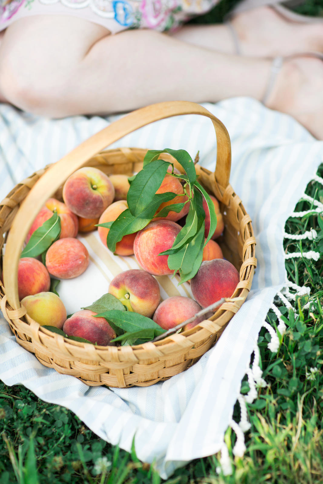 L_Photographie_st._louis_engagement_photographers_apple_picking_eckerts_dog_02