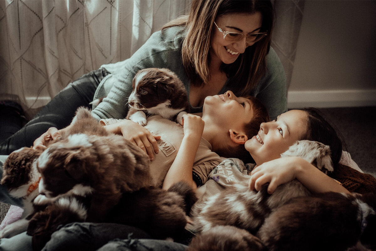 the-lifestyle-phodographer-perth-family-pet-photographer-litter00013