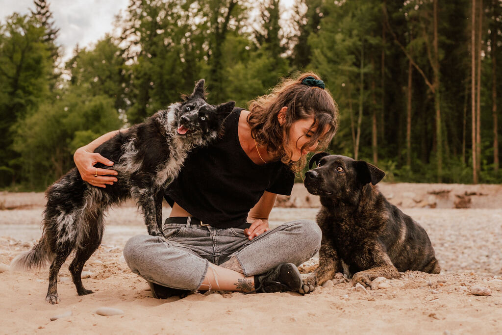 Elis-Fotografie-Hundefotografin-Solothurn-Tiefotografin-Biel-Paarfotos Solothurn-Hochzeitsfotograf-Bern21