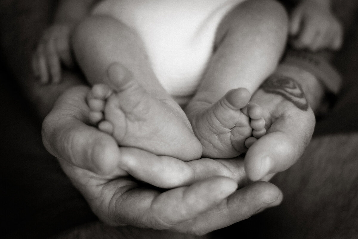 detail of newborn babys feet