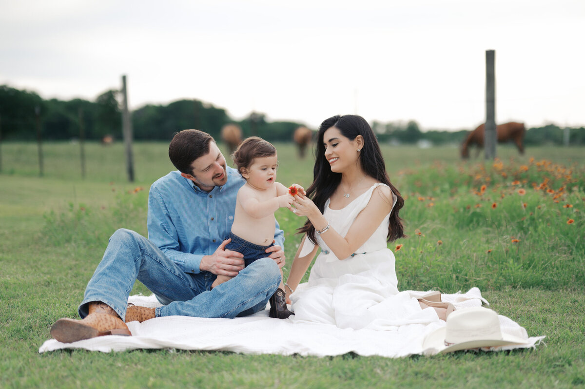 family milestone photos in benbrook by horses outside, toddler boy hands flower to mom while they sit on a blanket