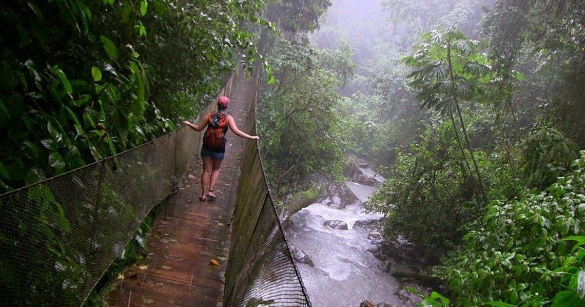 rainmaker-park-walking-tour-costa-rica-jade-tours-costa-rica-9974