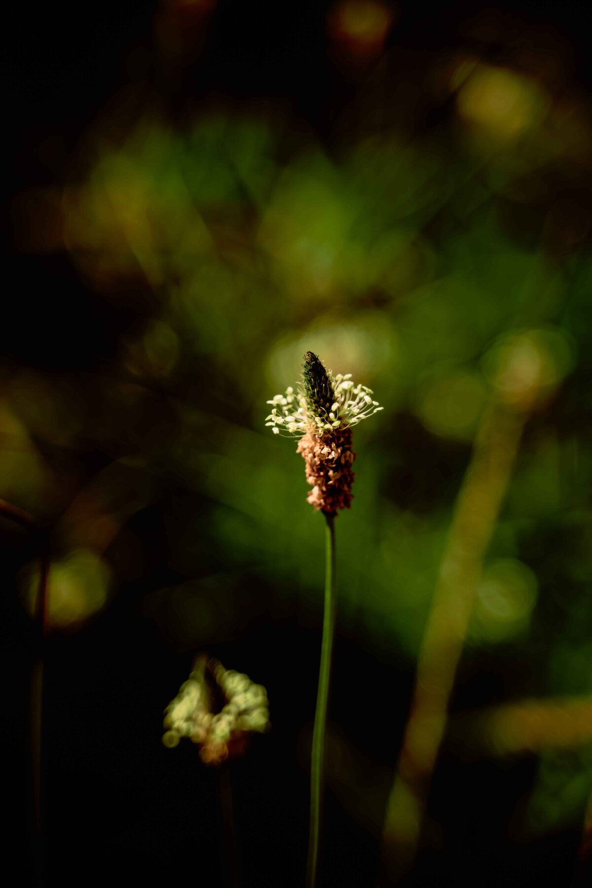 _DSC8603-Edit