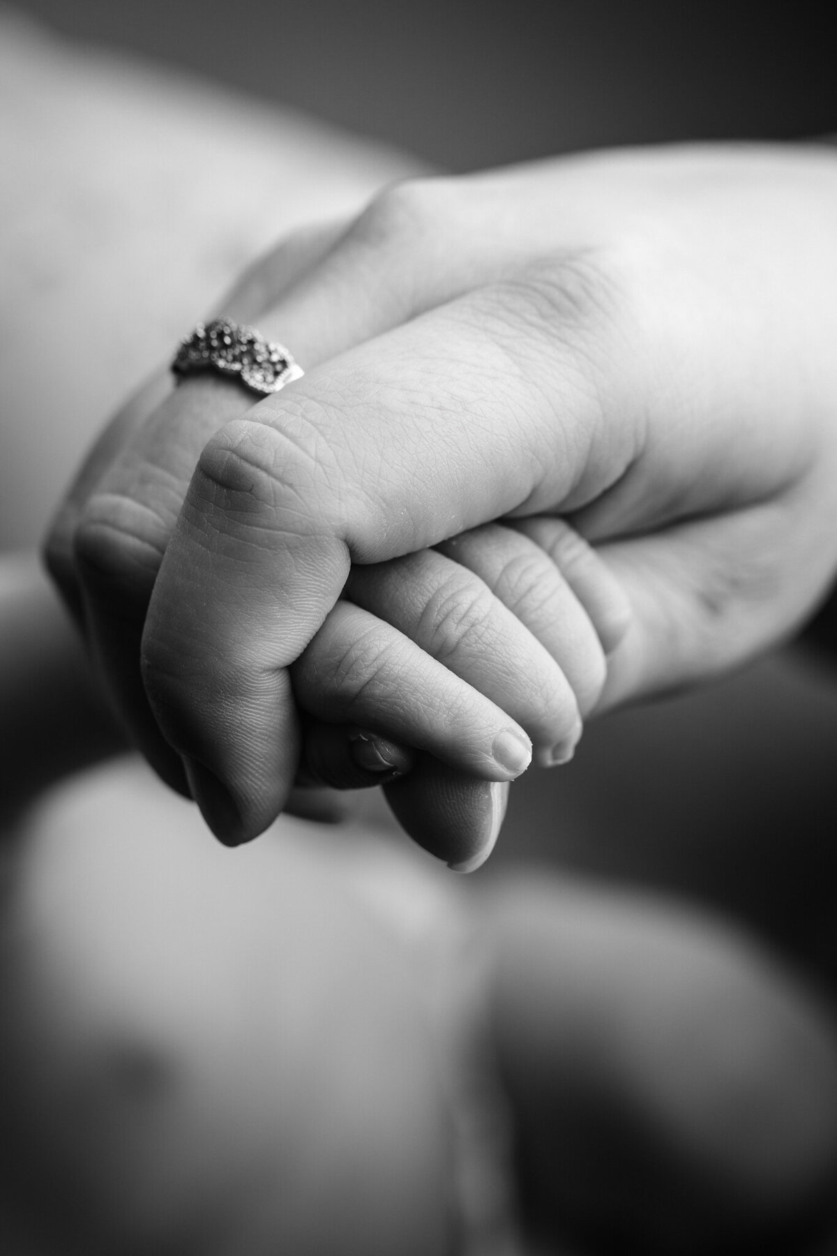 NWA newborn photographer, newborn portraits NW Arkansas newborn photographer near me, professional newborn photos