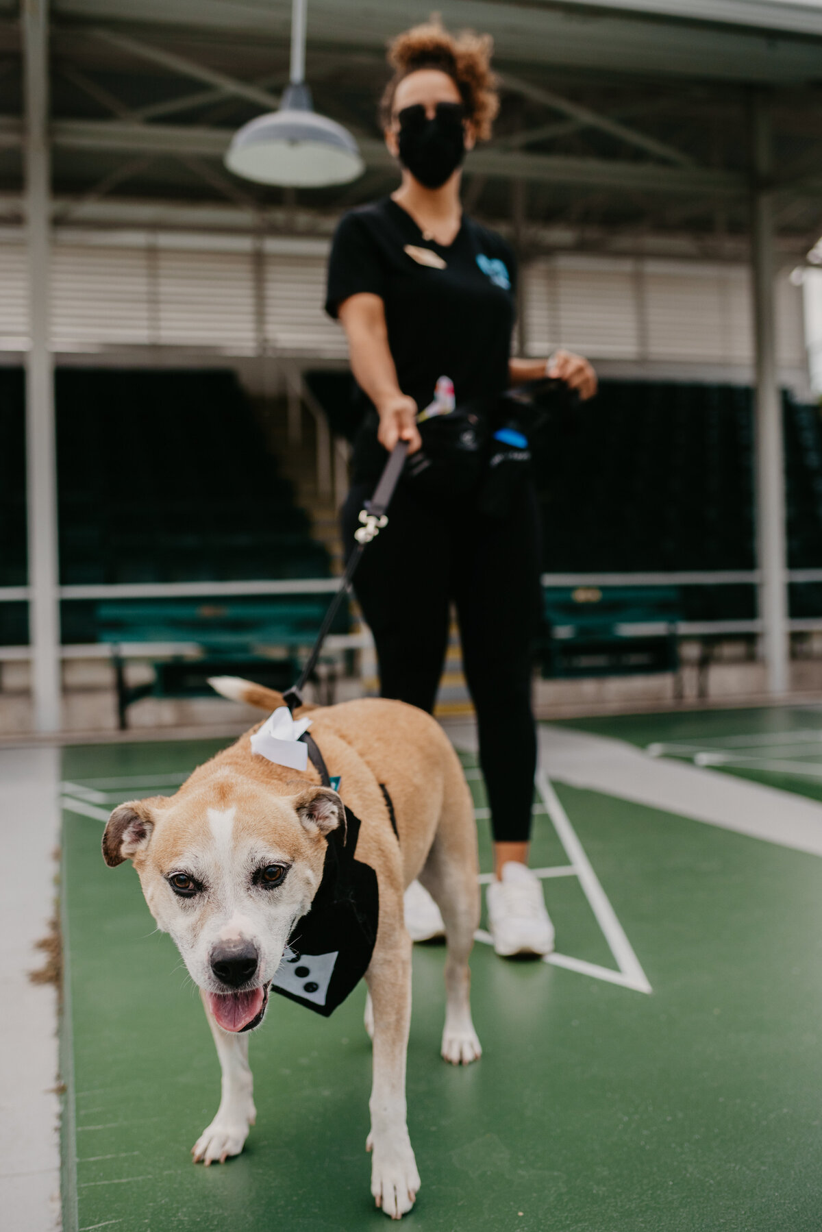 mariah-lacy-photo-st-pete-shuffleboard-elopement-chantilly-planners-1