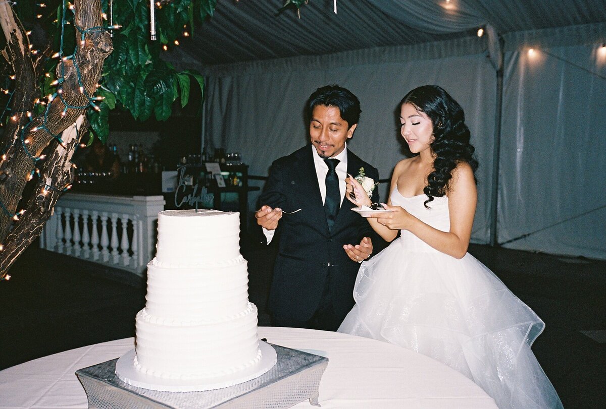 bay area film wedding photographer