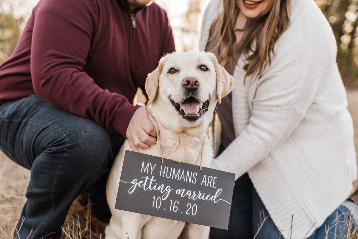 Engagement photos with a dog in Dallas