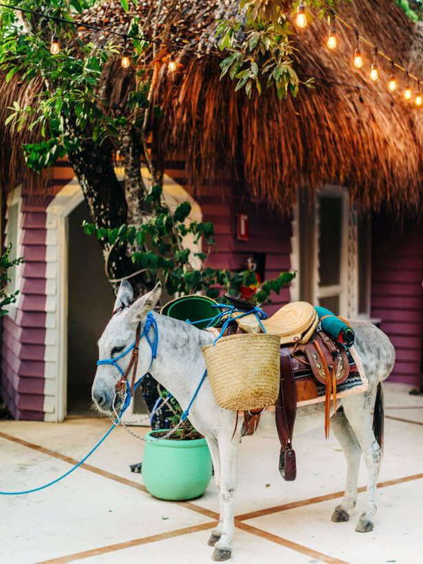 Honeymoon-Elopement-Destination-Jessica-Manns-Photography_76