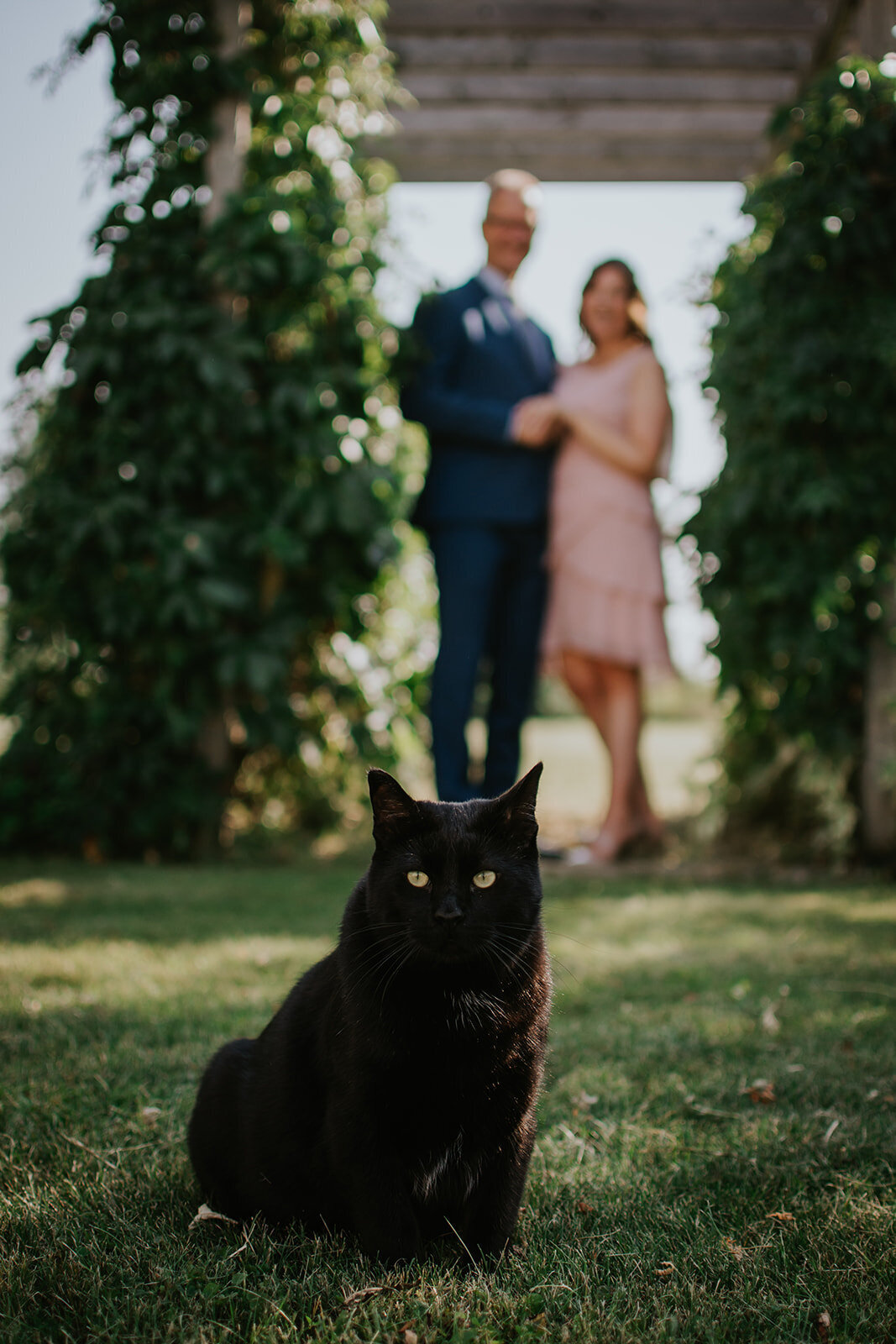 wedding photography pets