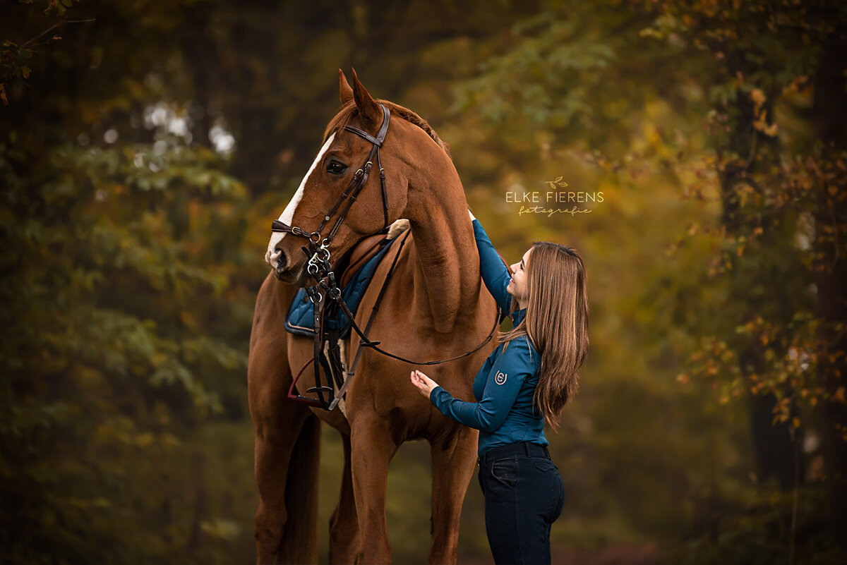 paardenfotograaf - opgezadeld - sportievepaardenfotografie