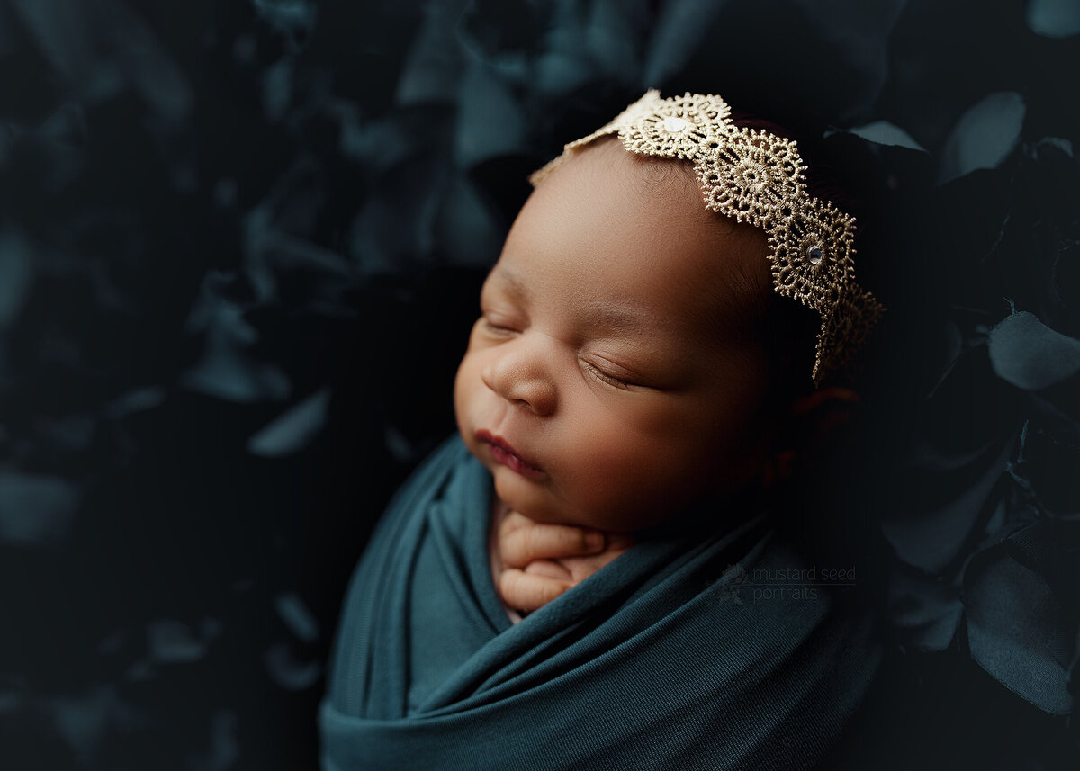 newborn photoshoot in NJ - 14